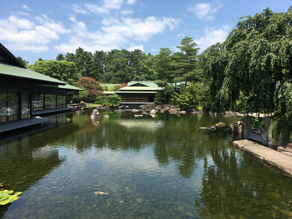 Настоящий васаби и идеальный урбанизм: Вика Газинская — о путешествии по Японии (фото 45)