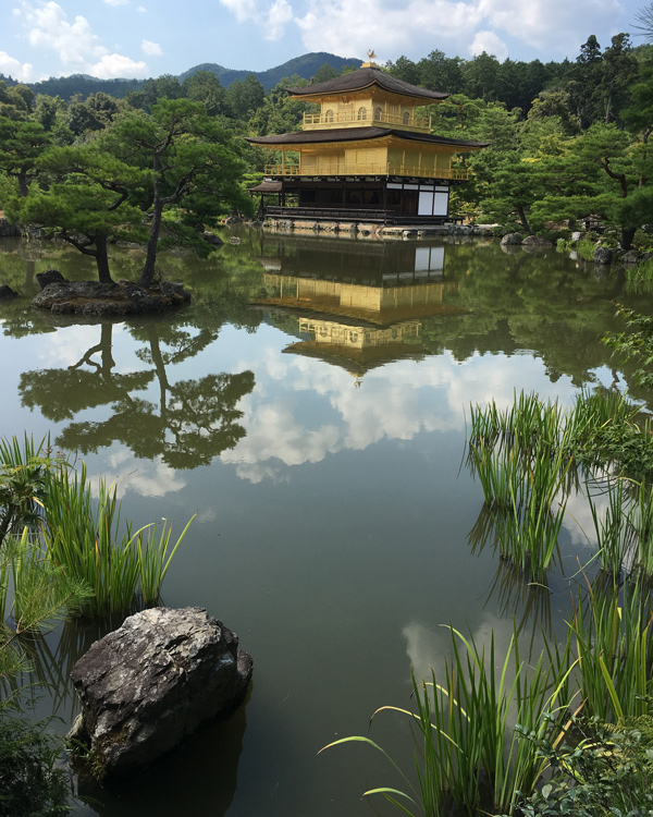 Настоящий васаби и идеальный урбанизм: Вика Газинская — о путешествии по Японии (фото 43)