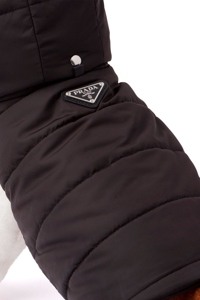 Prada выпустил коллекцию курток для собак (фото 4)