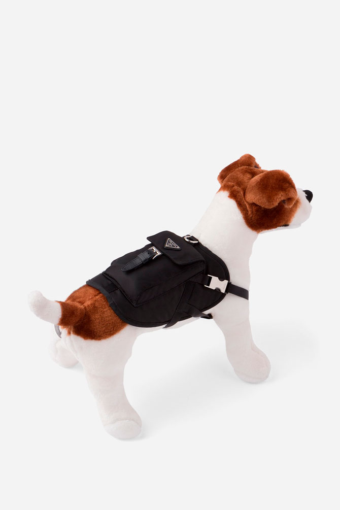 Prada выпустил коллекцию курток для собак (фото 1)