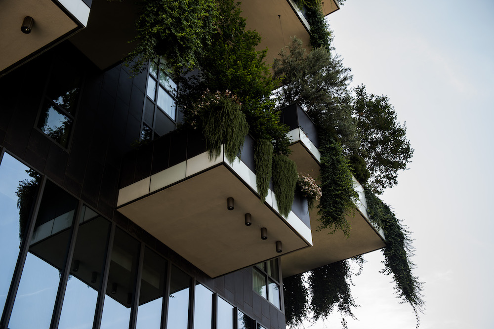 Создатель Вертикальных садов в Милане Стефано Боэри — о симбиозе архитектуры и леса, пост-пандемических городах и своем новом масштабном проекте в столице Албании (фото 2)