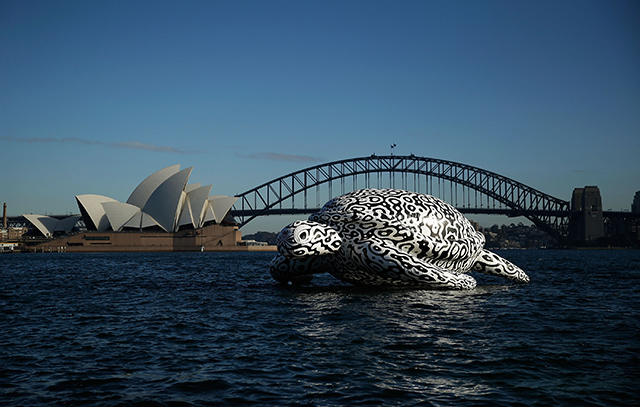Исполинская черепаха затмила Сиднейскую оперу (фото 2)