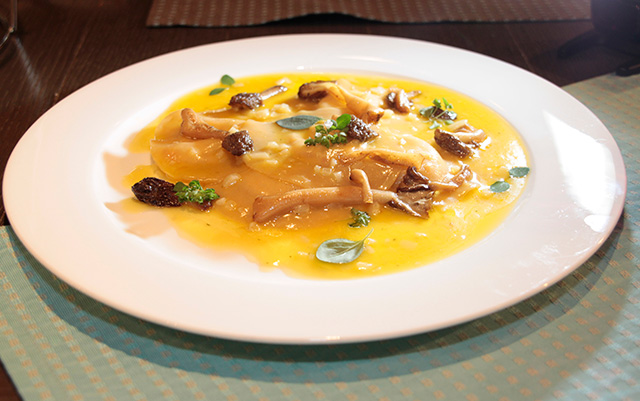 Грибные места Москвы: где пробовать сморчки (фото 4)