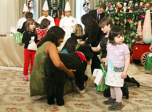 Мишель Обама представила рождественское убранство Белого дома (фото 1)
