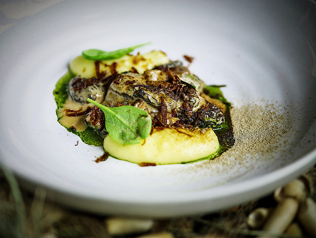 Грибные места Москвы: где пробовать сморчки (фото 1)