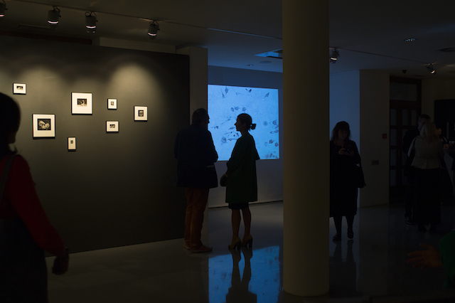 Открытие новой выставки галерее RuArts (фото 14)