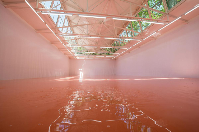 Как за пару дней успеть увидеть 56-ю Венецианскую биеннале (фото 7)