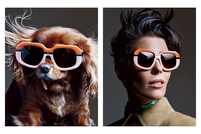 Самый знаменитый щенок Instagram в рекламной кампании Karen Walker (фото 2)