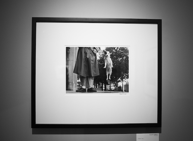Открытие выставки "Портреты" Эллиотта Эрвитта в Pobeda Gallery (фото 8)