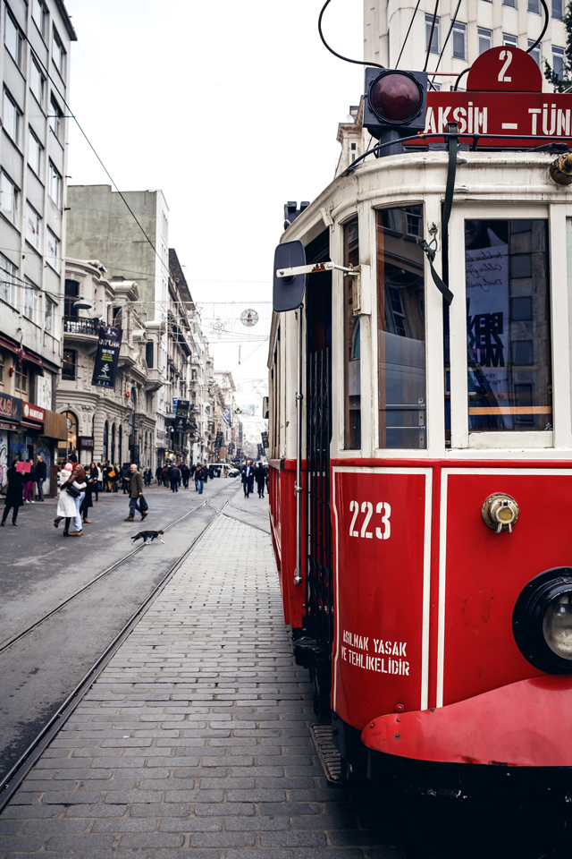 Путевые заметки: Стамбул (фото 18)