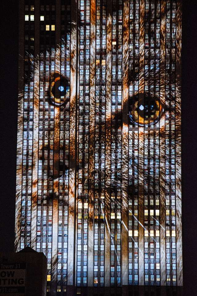 На Эмпайр-стейт-билдинг спроецировали вымирающих животных (фото 3)