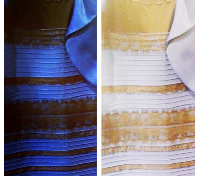 Вопрос дня: черно-синее или бело-золотое? (фото 2)
