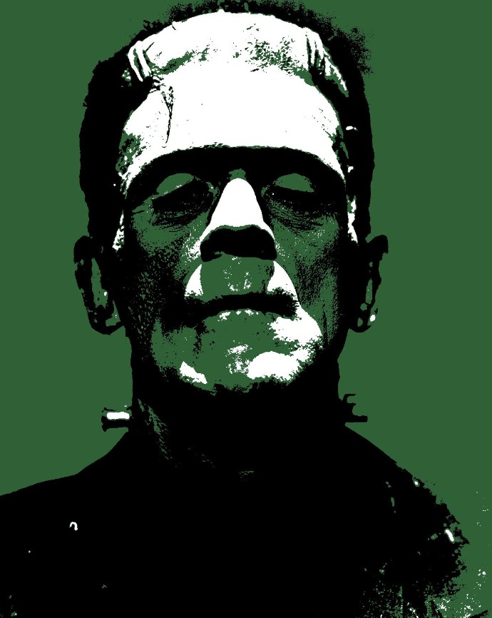 An overview of victors arrogance in the novel frankenstein by mary shelley