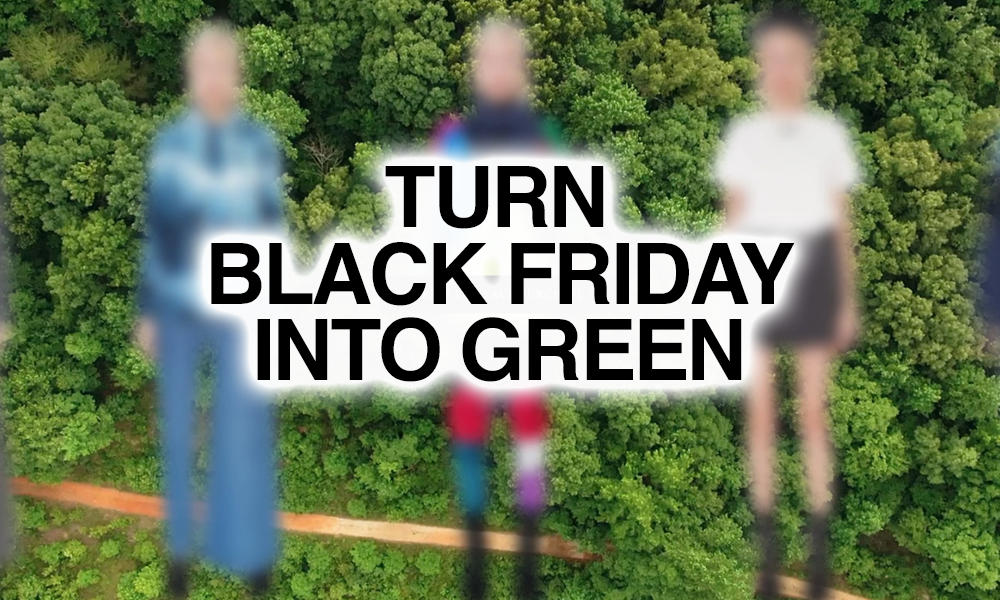 Как «Черная пятница» становится зеленой
