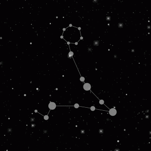 На связи со звездами: угадываем знаки зодиака по их поведению в сети