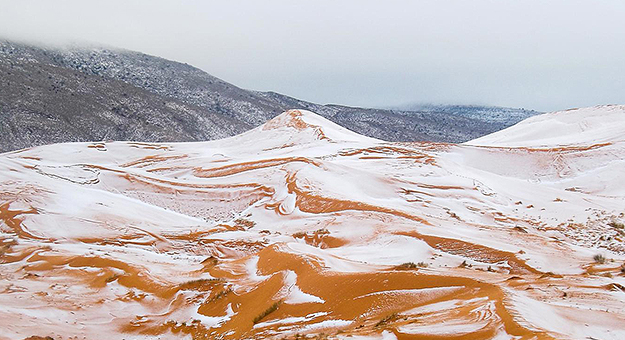 Фото дня: в пустыне Сахара выпал снег