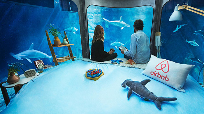 Airbnb предложил поспать с акулами