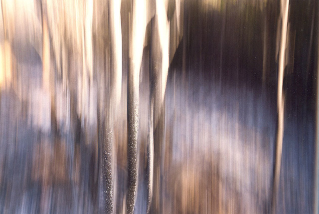 Волимес 1. 2011. Алюминиевая смесь (Дибонд), фотография Главные выставки 2014 года: Россия (фото 11)