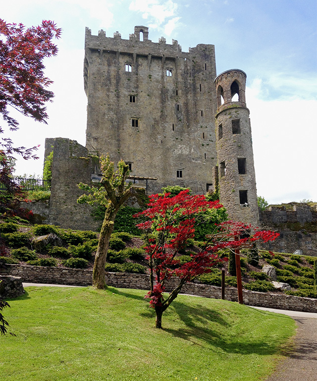 Другая планета: Корк, Южная Ирландия (фото 4)