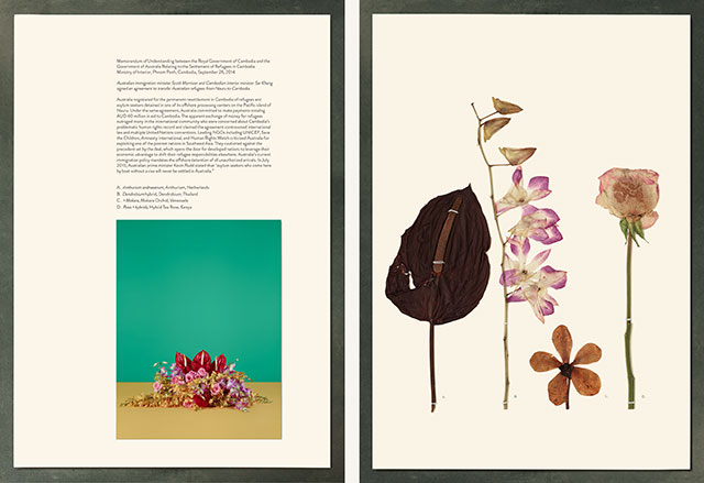 «Вид с высоты птичьего полета. Меморандум о взаимопонимании между правительством Королевства Камбоджа и правительством Австралии в связи с колонией беженцев в Камбодже». Министерство внутренних дел, Пномпень, Камбоджа. 26 сентября 2014; Гладиолус крупноцветковый, Португалия; спаржа щетинковидная, США; гвоздика садовая, Колумбия; нарцисс ложный, Нидерланды. Из серии «Бумажная работа и воля капитала». 2015 г. Весна в "Гараже": три новых выставки Музея современного искусства (фото 5)