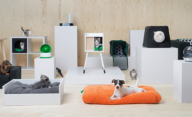 IKEA сделала мебель для собак и кошек (фото 1)