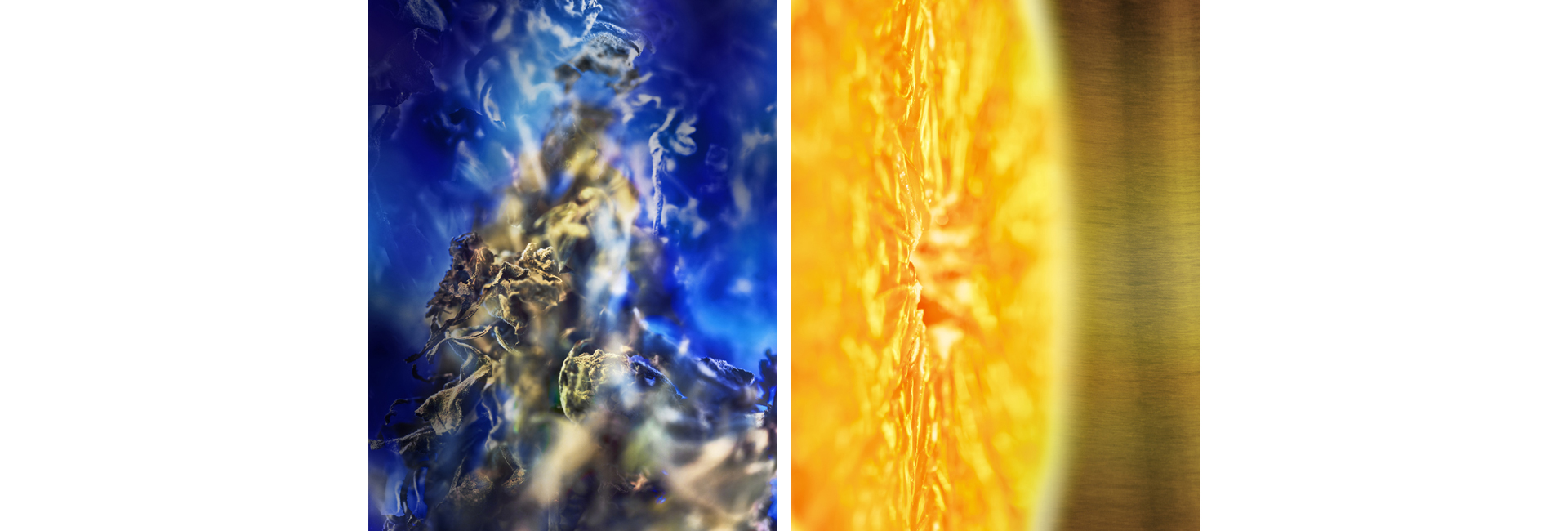 Как выбрать аромат в подарок: 5 правил (фото 2)