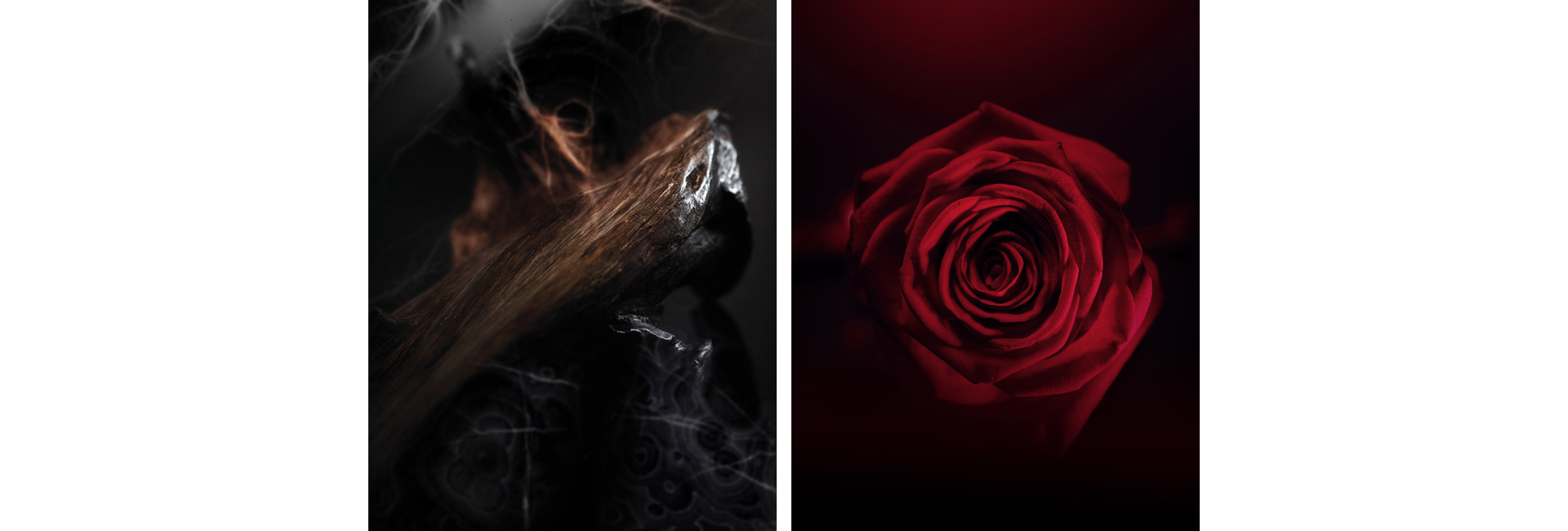 Как выбрать аромат в подарок: 5 правил (фото 4)