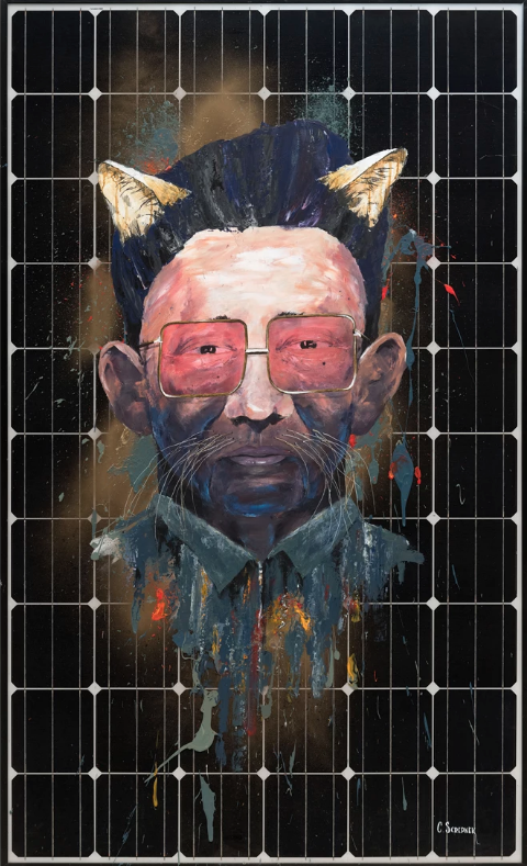 Художники рисуют на солнечных батареях для международного экологического проекта (фото 13)