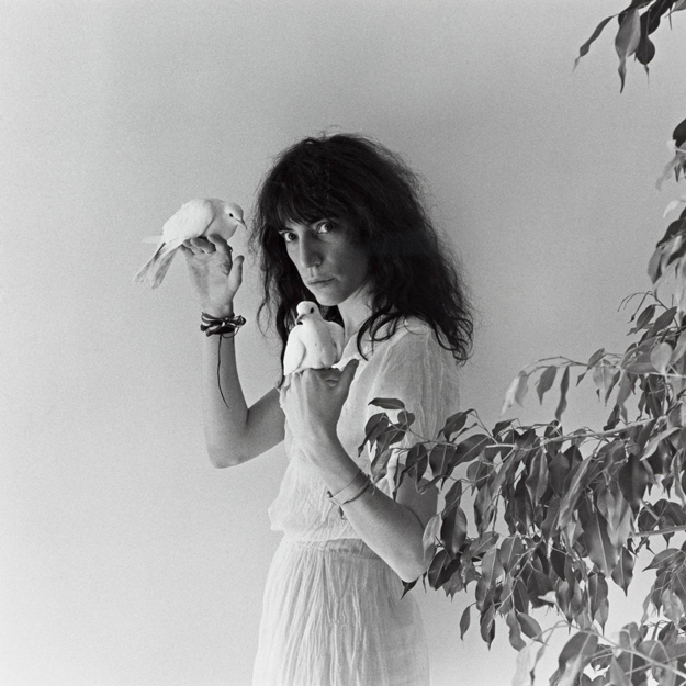 Что нужно знать перед просмотром фильма «Мэпплторп» (фото 4)