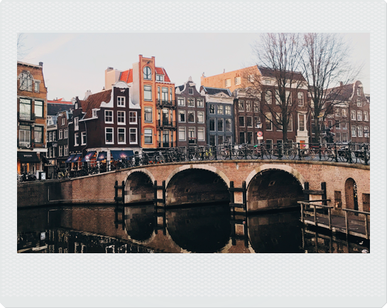 Как провести новогодние каникулы в Амстердаме (фото 2)
