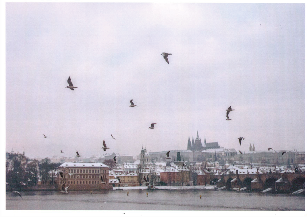 Как провести новогодние каникулы в Праге (фото 3)