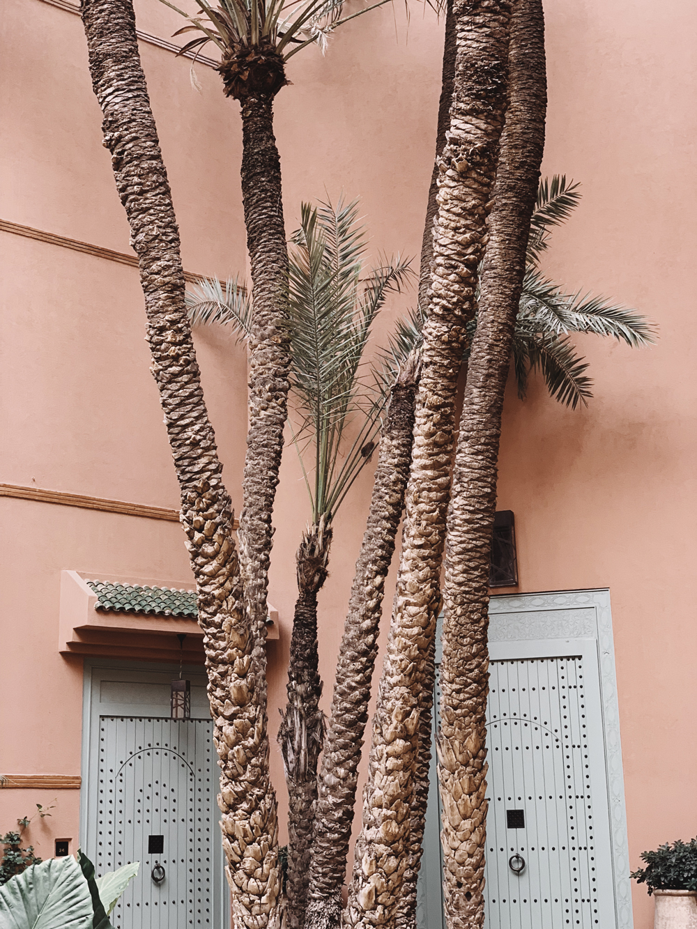 Страна, которую любил Ив Сен-Лоран: фоторепортаж из путешествия в Марокко (фото 32)