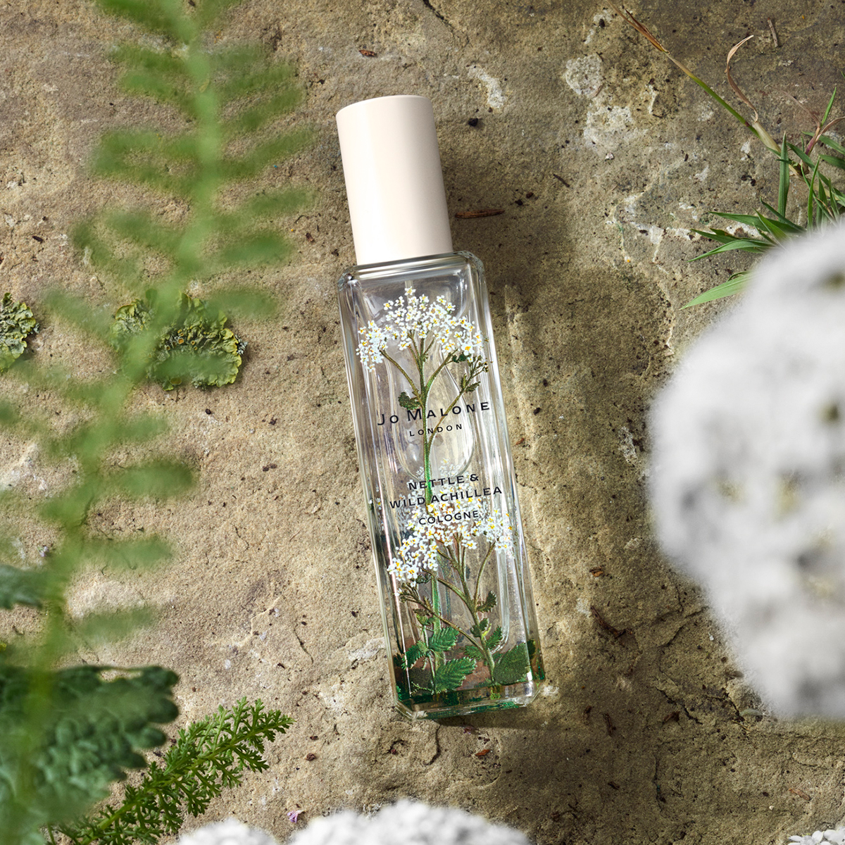 Новая коллекция Wild Flowers & Weeds от Jo Malone London (фото 5)