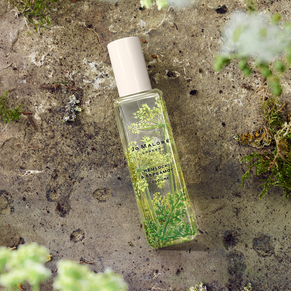 Новая коллекция Wild Flowers & Weeds от Jo Malone London (фото 6)