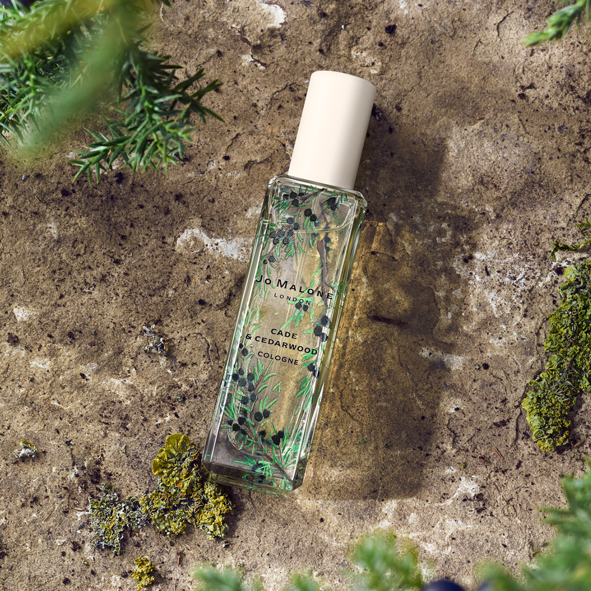 Новая коллекция Wild Flowers & Weeds от Jo Malone London (фото 9)