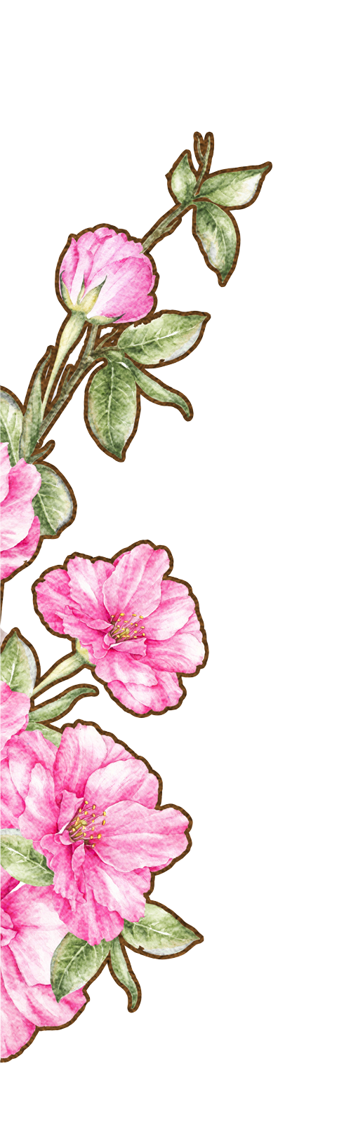 Ксения Сухинова, Ян Гэ, Маргарита Мамун и Юлианна Караулова — о весне и любимых цветах (фото 7)
