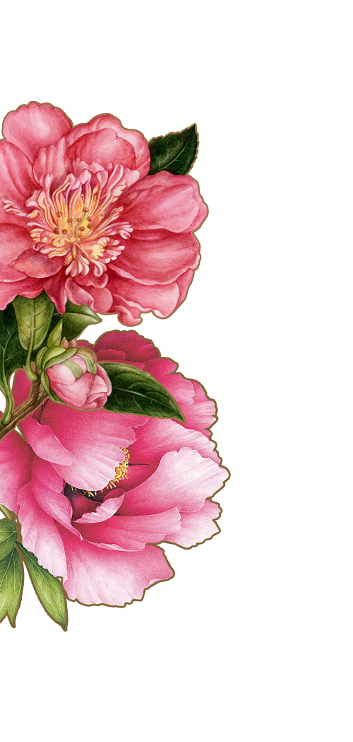 Ксения Сухинова, Ян Гэ, Маргарита Мамун и Юлианна Караулова — о весне и любимых цветах (фото 3)