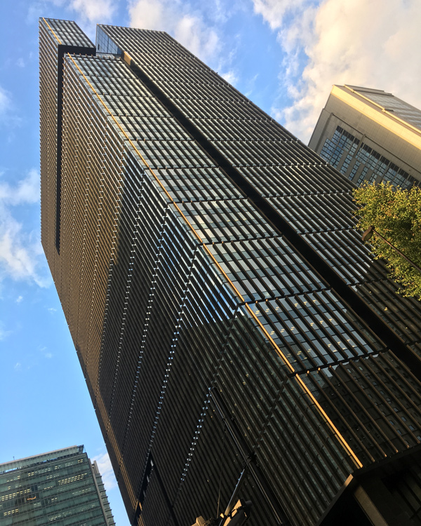 Настоящий васаби и идеальный урбанизм: Вика Газинская — о путешествии по Японии (фото 7)