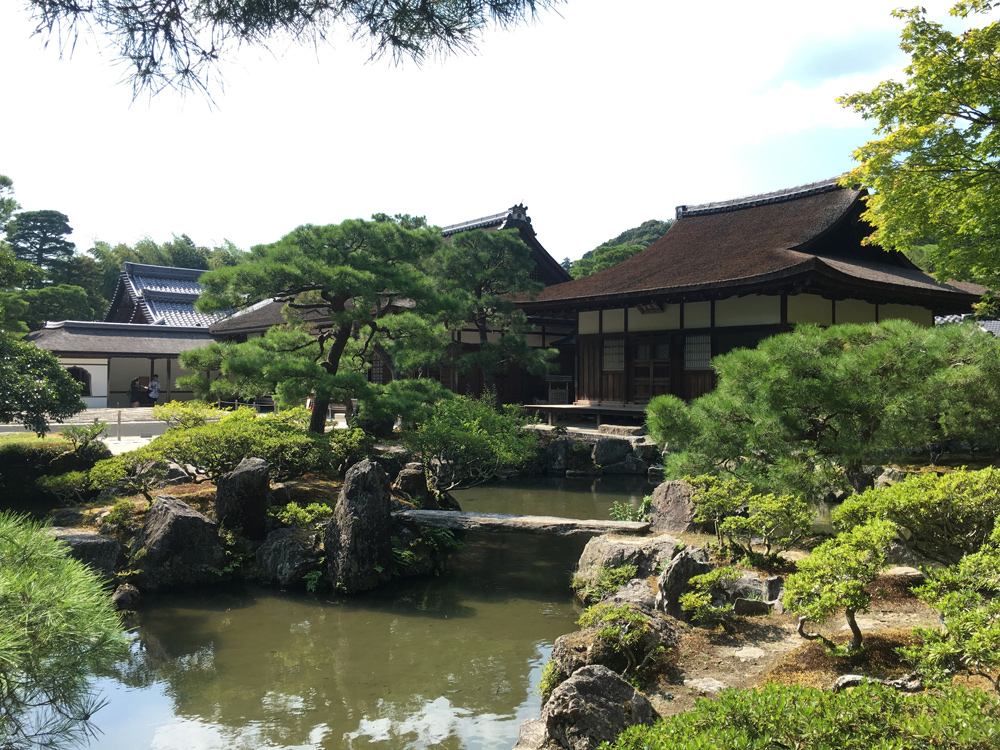 Настоящий васаби и идеальный урбанизм: Вика Газинская — о путешествии по Японии (фото 44)