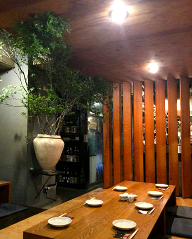 Настоящий васаби и идеальный урбанизм: Вика Газинская — о путешествии по Японии (фото 16)