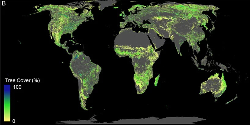 Ученые подсчитали, сколько деревьев нужно посадить, чтобы спасти планету (фото 1)