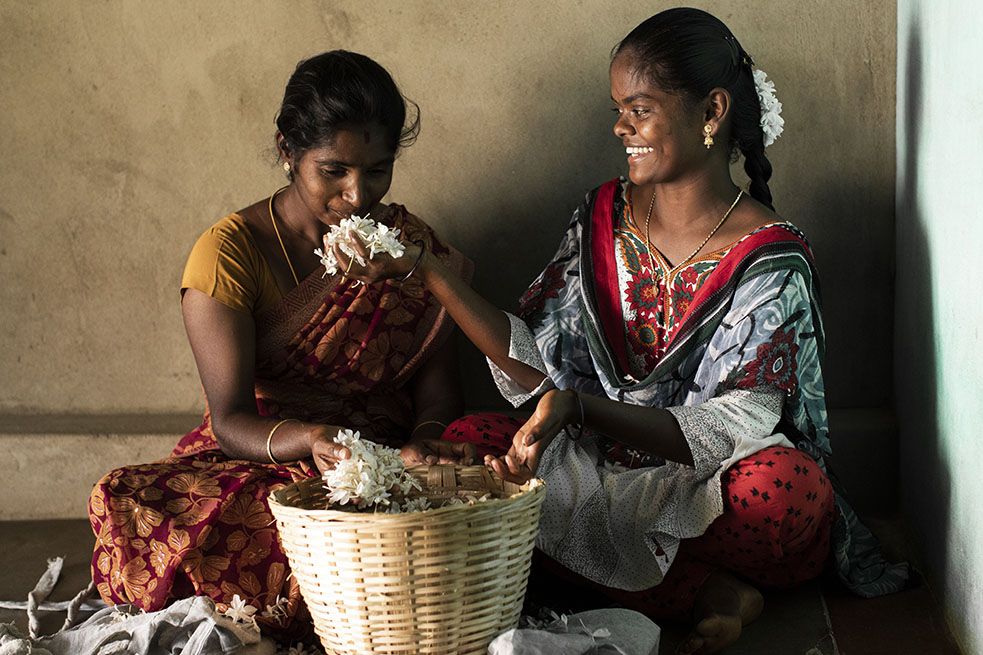Bvlgari поддержал выращивание жасмина в Индии (фото 5)