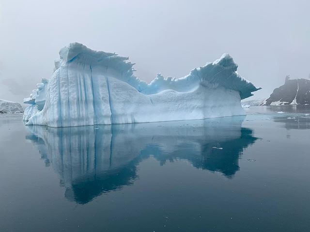 Марион Котийяр показала снимки из экспедиции в Антарктиду вместе с Greenpeace (фото 2)