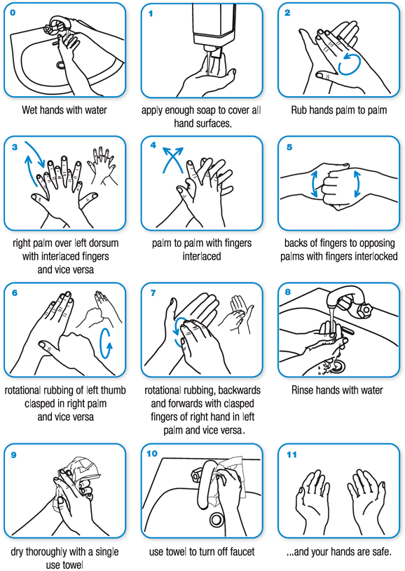 Защищаемся от вирусов чистыми руками (фото 1)
