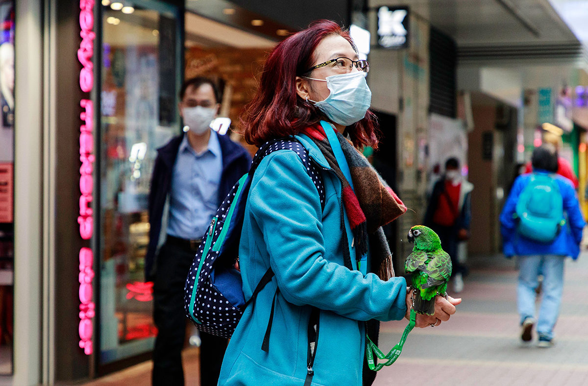 Как остановить коронавирус: опыт Китая, Южной Кореи и других азиатских стран (фото 4)