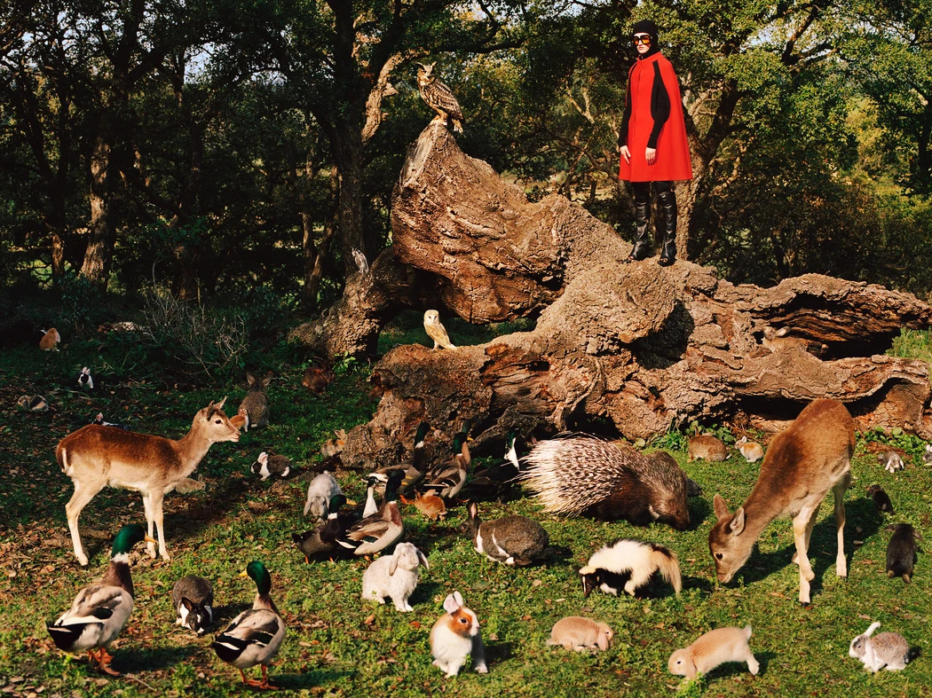 В новой кампании Gucci снялись кролики, олени и ежи (фото 3)