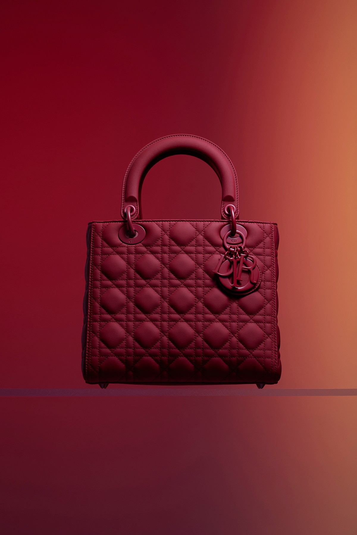 Dior выпустил коллекцию сумок из разноцветной матовой кожи (фото 1)
