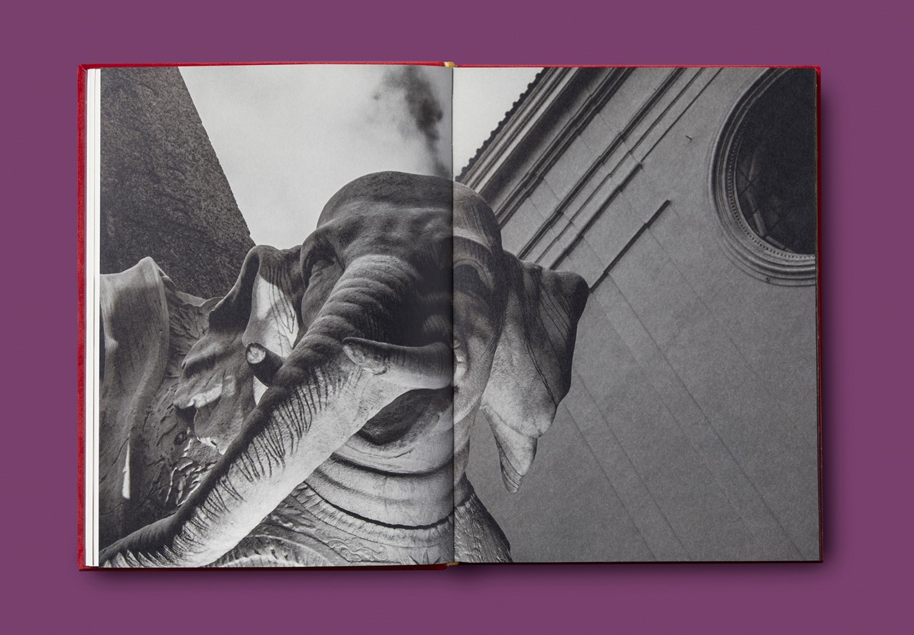 Gucci и фотограф Magnum Photos Брюс Гилден выпустили книгу с портретами жителей Рима (фото 7)