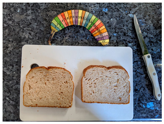 ИИ научился рассчитывать рецепты идеальных сэндвичей (фото 1)