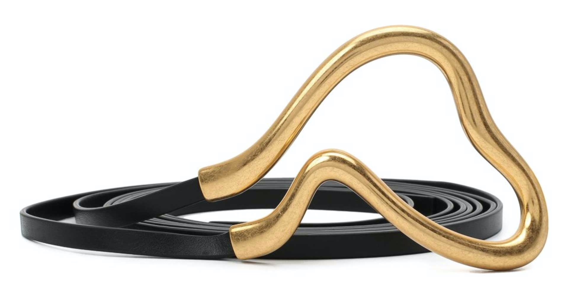 Выбираем акцентный ремень с Юлей Катькало (фото 6)